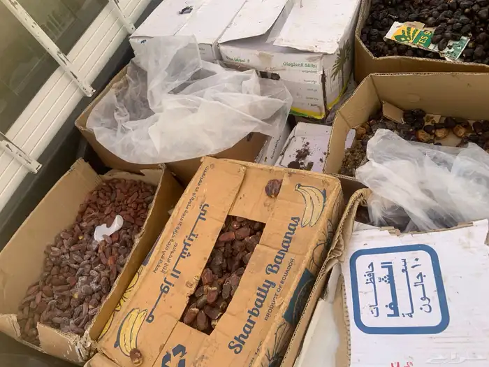 تمركراتين 2