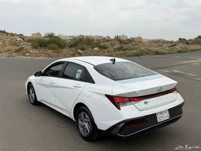 النترا 2024 7