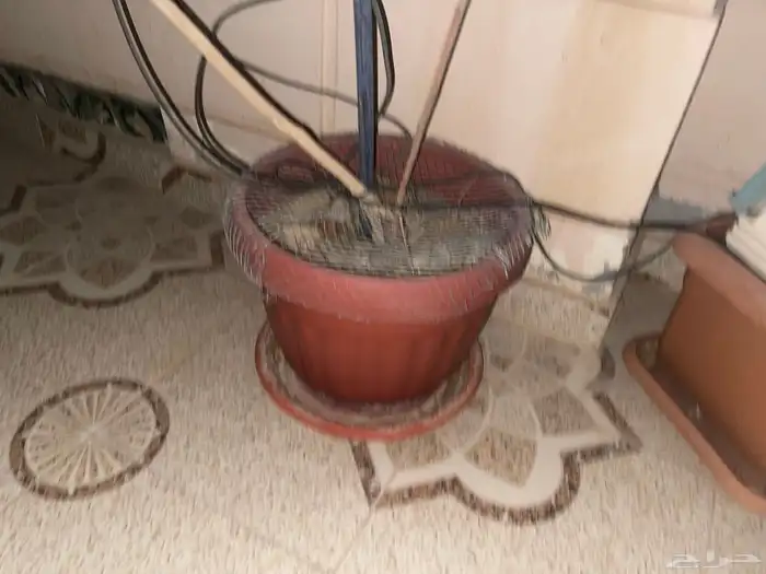 احواض زراعيه كبير 1