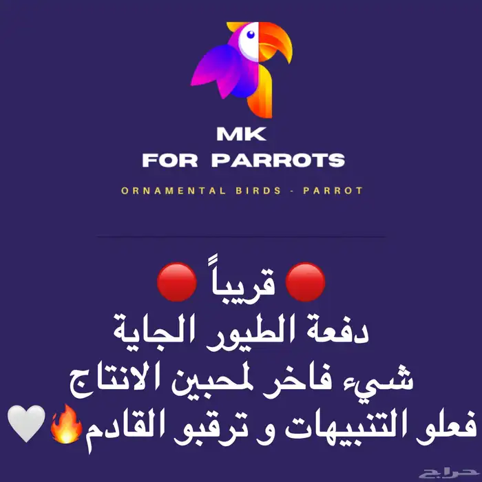 ترقبووو دفعة جديدة من الطيور 0