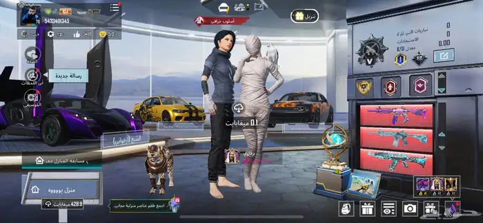 حساب ببجي للبيع لايجي الا الصامل 24