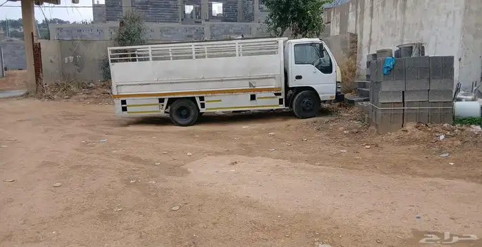 دينا ايسوزو شبك 2008 بيع 1