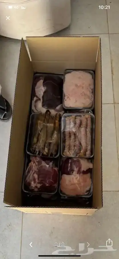 ذبايح بريه 4