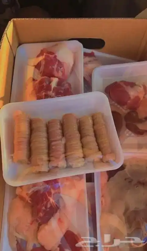 ذبايح بريه 1