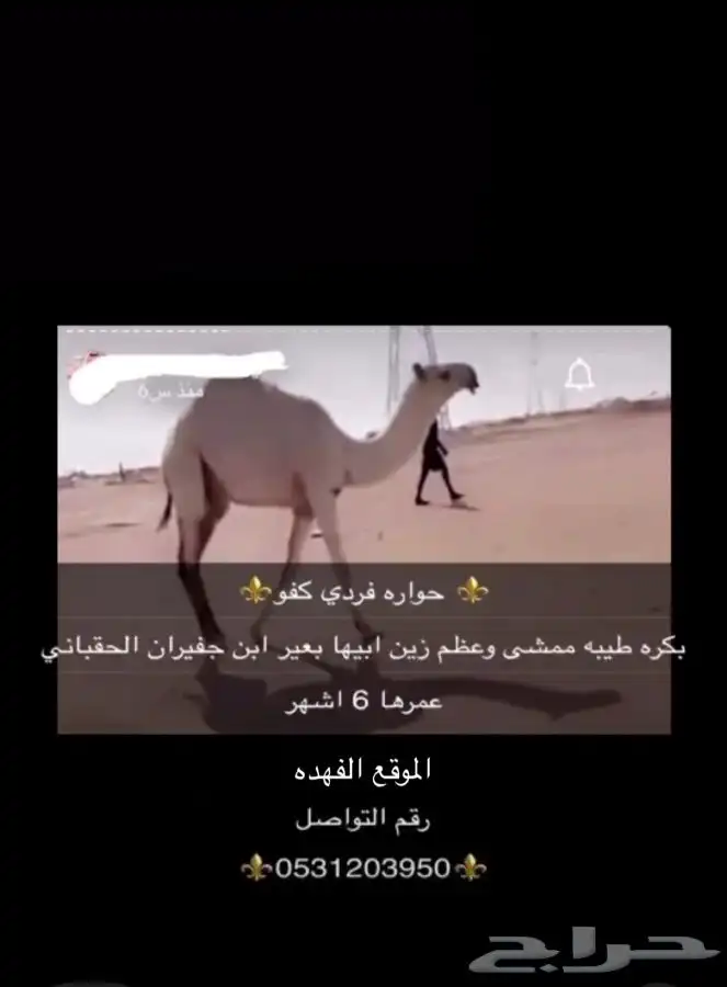 حواره فردي 0
