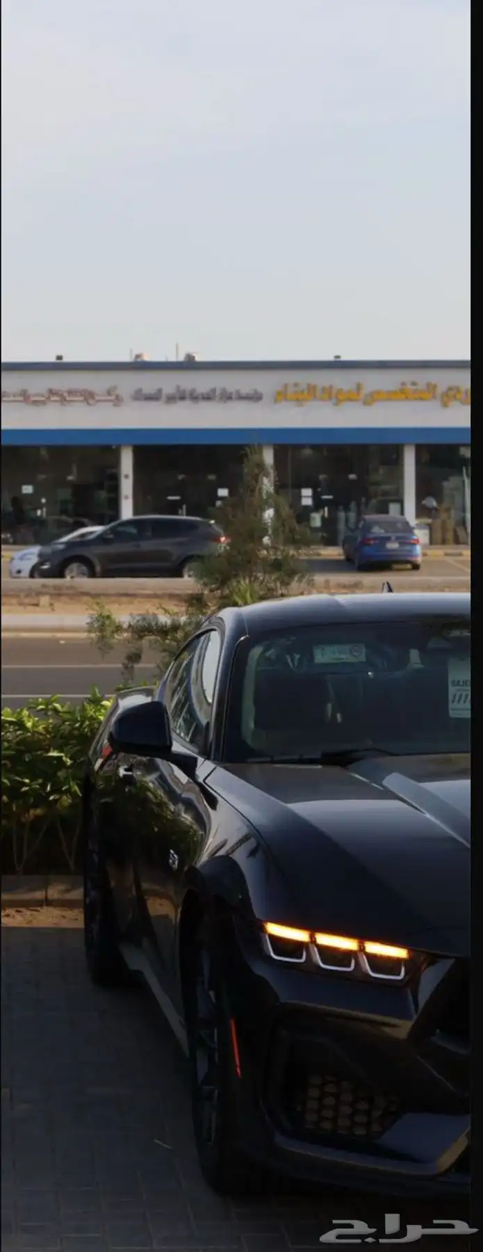 موستنج 2024 0