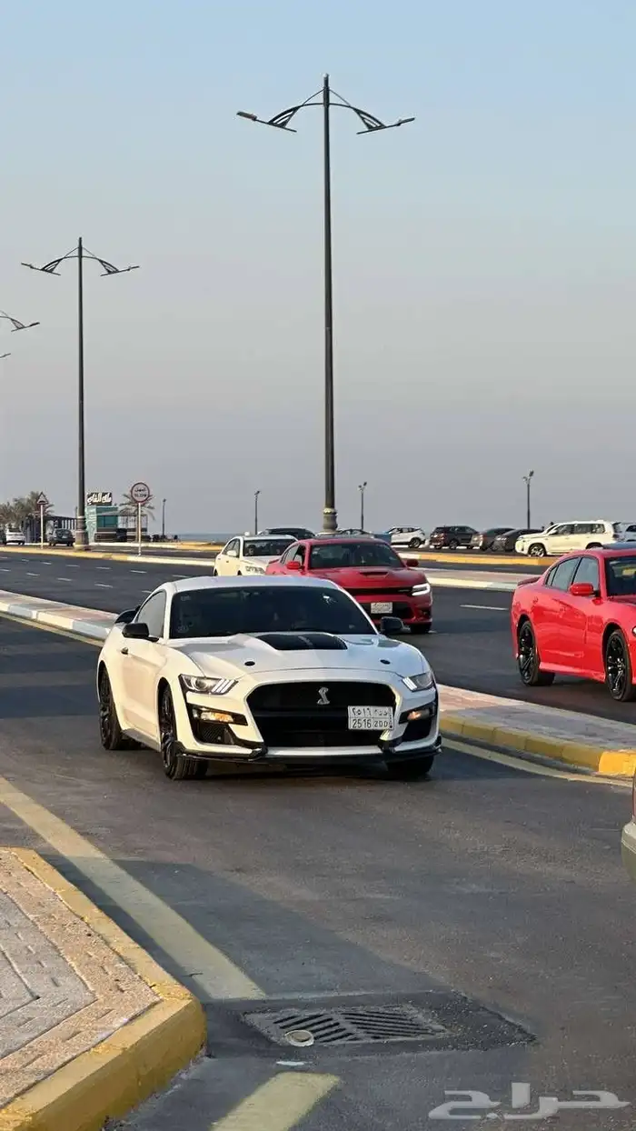 موستنج 2