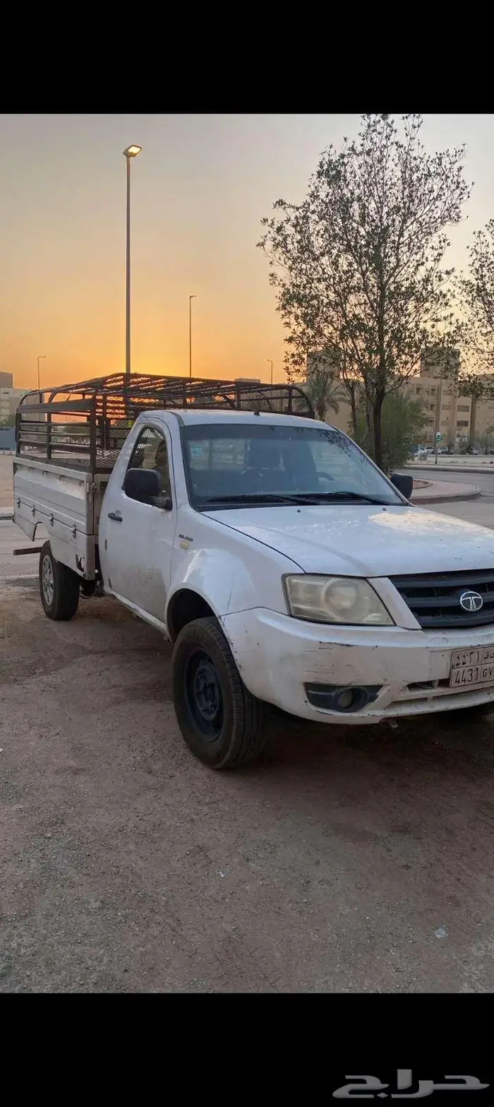 تاتا غمارة 2015 الرياض 1