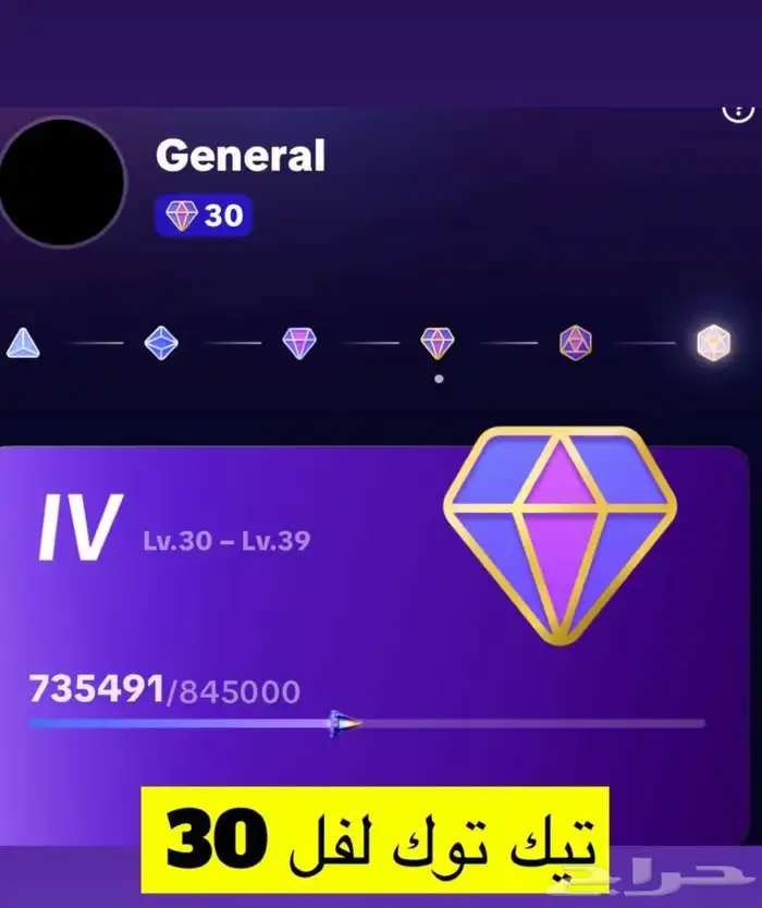 حساب تيك توك لفل 30 0