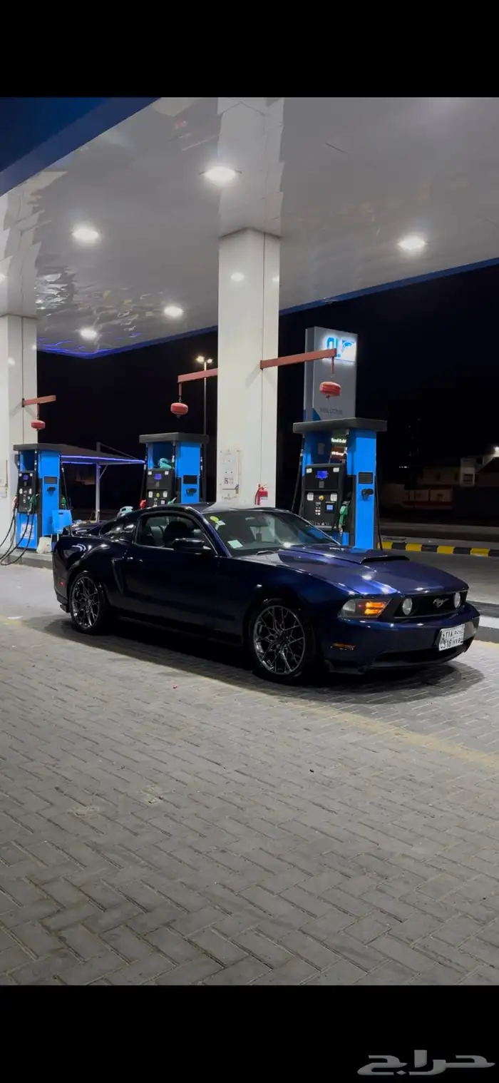 موستنج 5.0 8