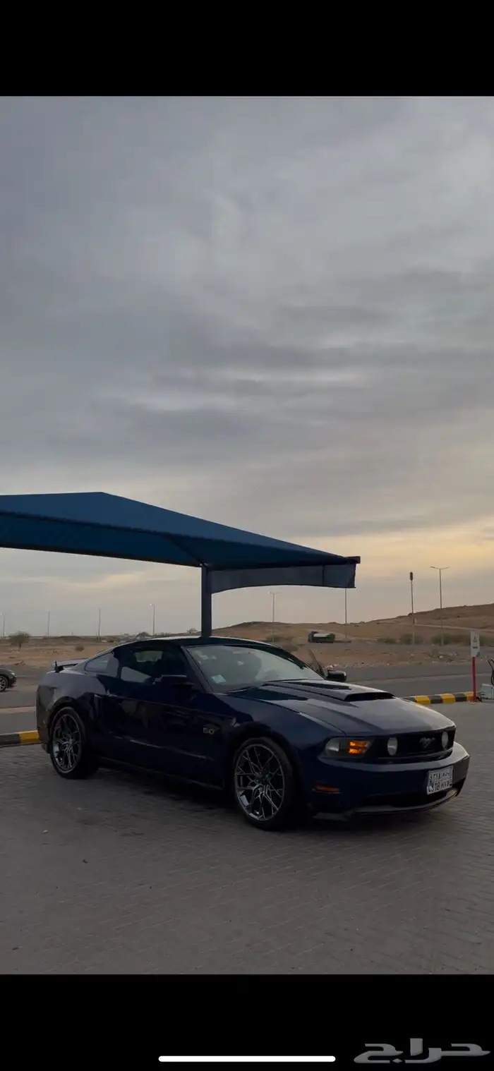 موستنج 5.0 10