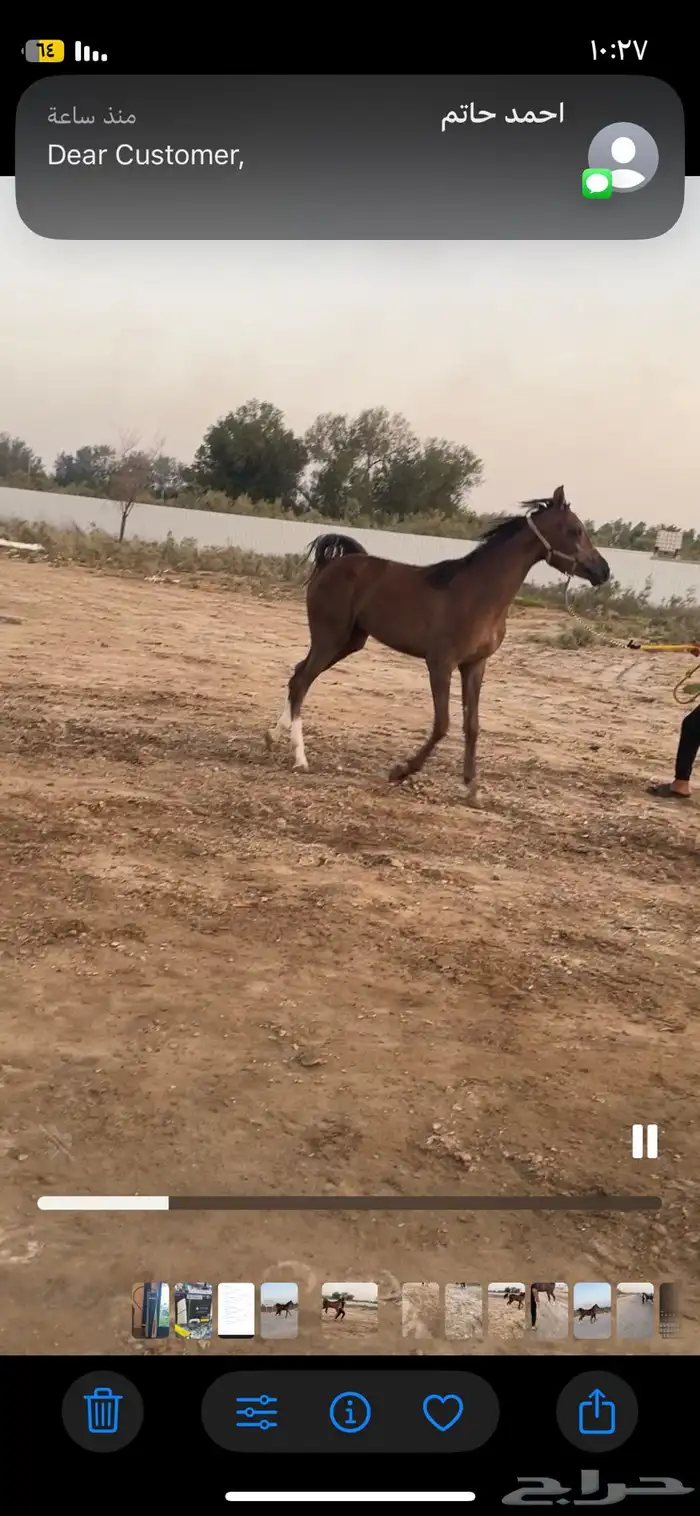 مهره شعبيه 1