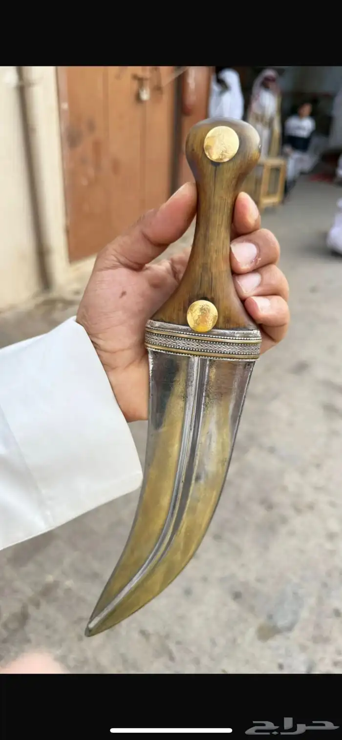 جنبيه قرن زراف 2