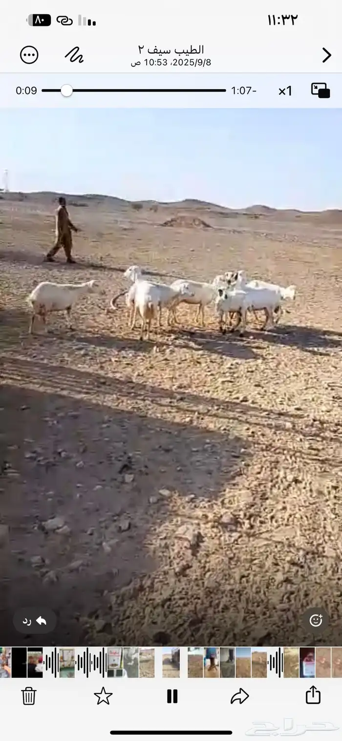 المدينه المنوره حزره جنوب شرق 2