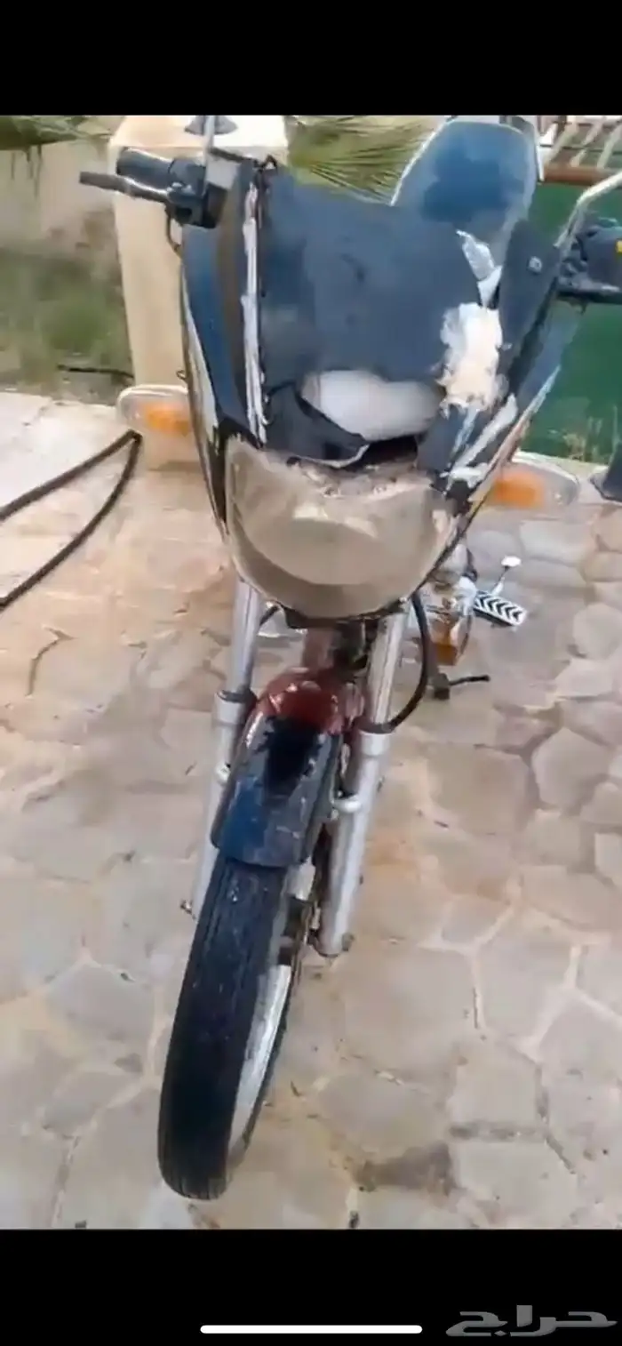 دباب 1