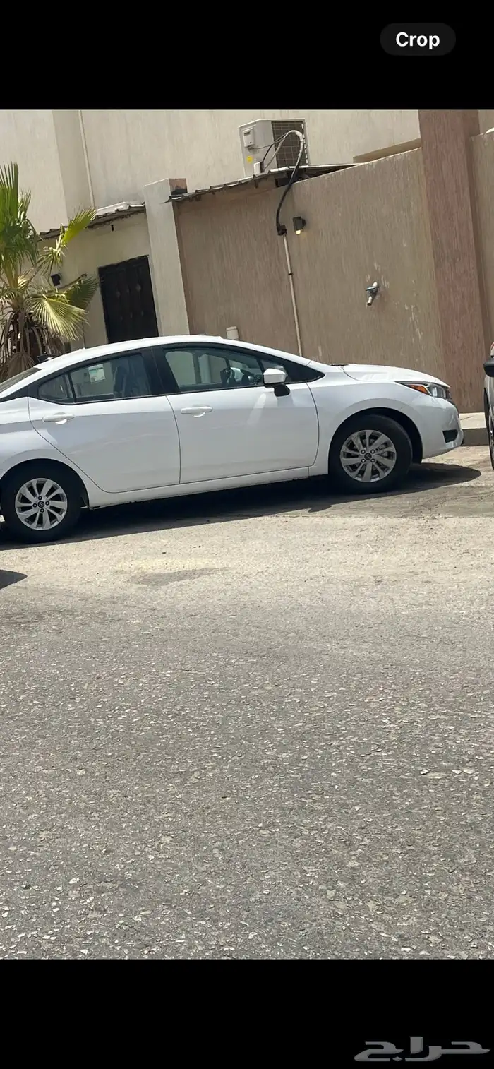 صني مكسيكان 0