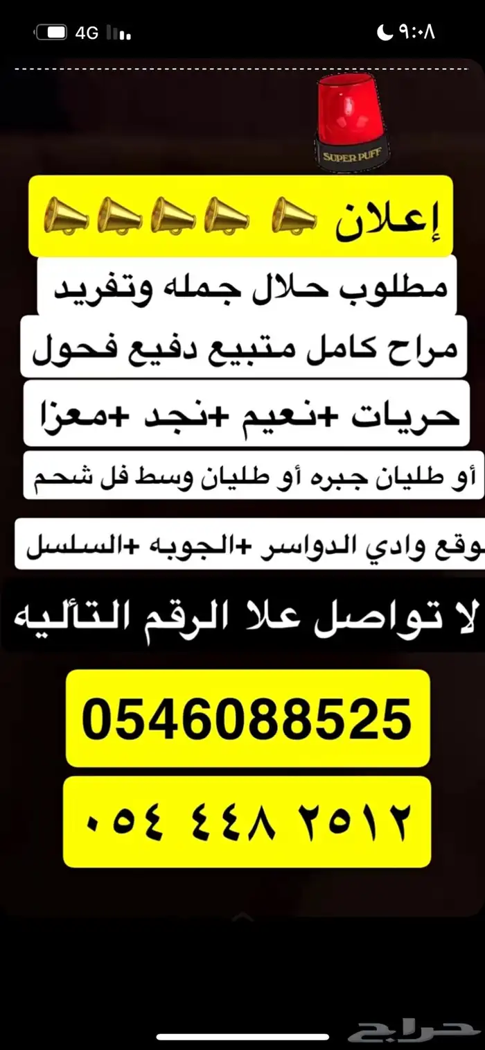 مطلوب حلال جمله اسنان وادي الدواسر 0