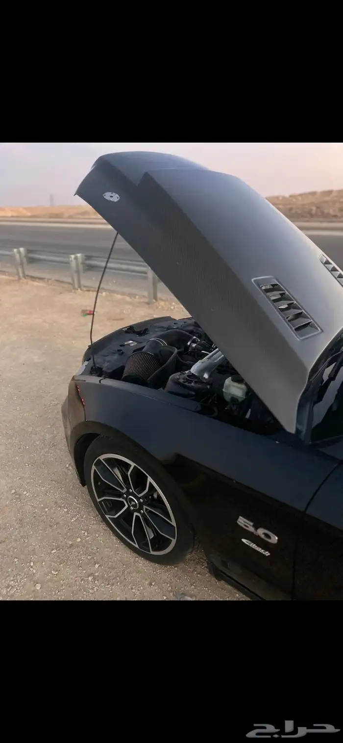 موستنج GT 5.0 2013 بريميوم 1 جير عادي 10
