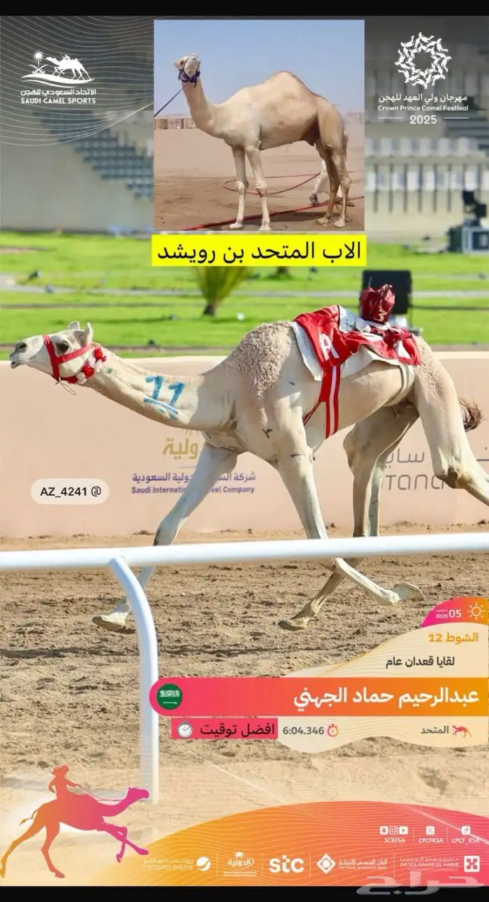 ناقه بنت متحد ابن رويشد ولقحه تلد من شاهين 1
