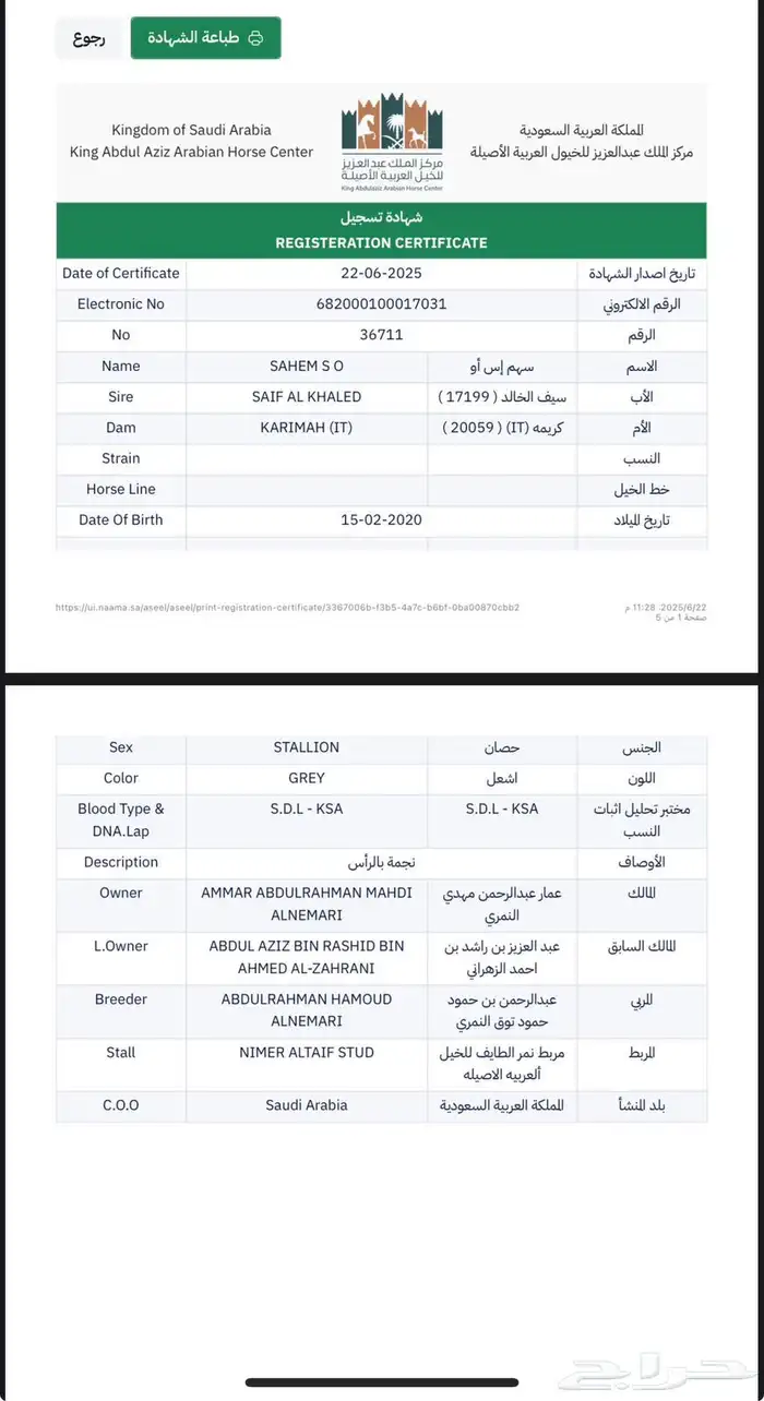 حصان مكس 6