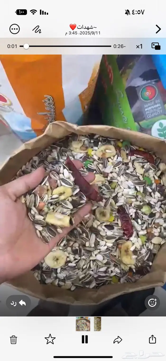 اكل طيور كروان كنيور روز بادجي ببغاء كاسكو وغيره 5