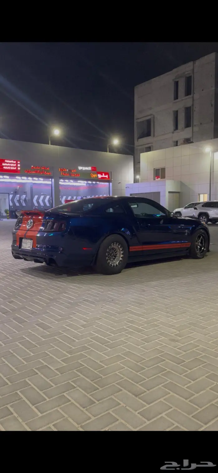 موستنج شلبي 1