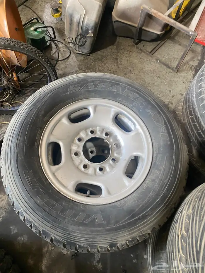 جنوت وانيت 8 بلوط 0