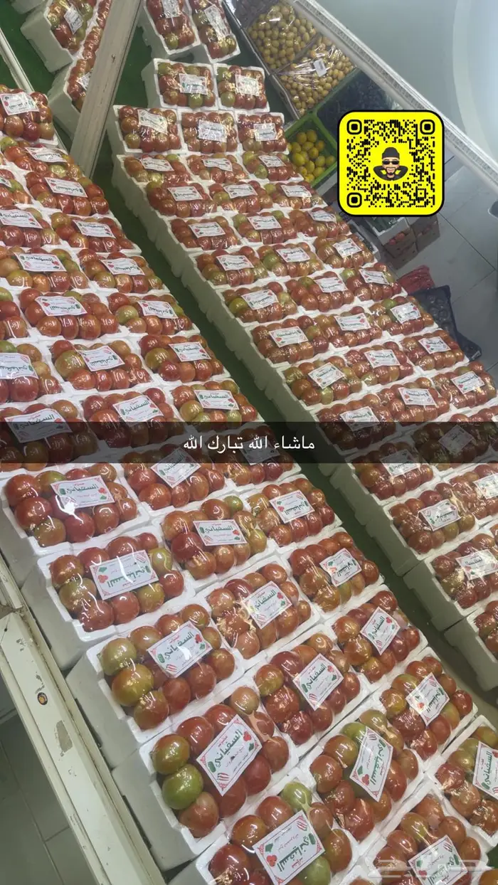الباسل للخضروات والفواكه 11