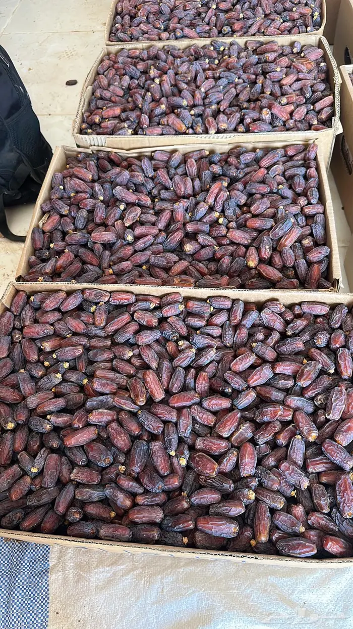 للبيع تمر مبروم ومشروك 0