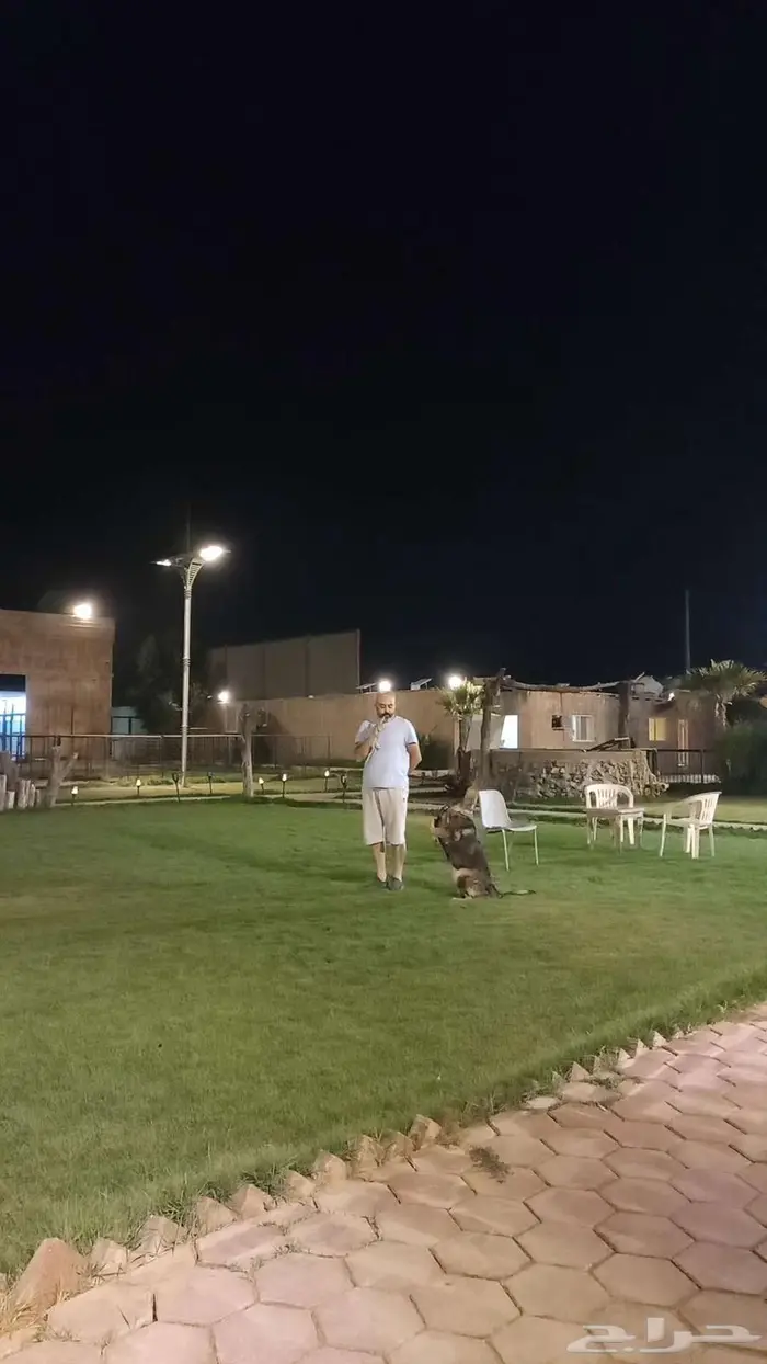 عروض علي التدريب 1