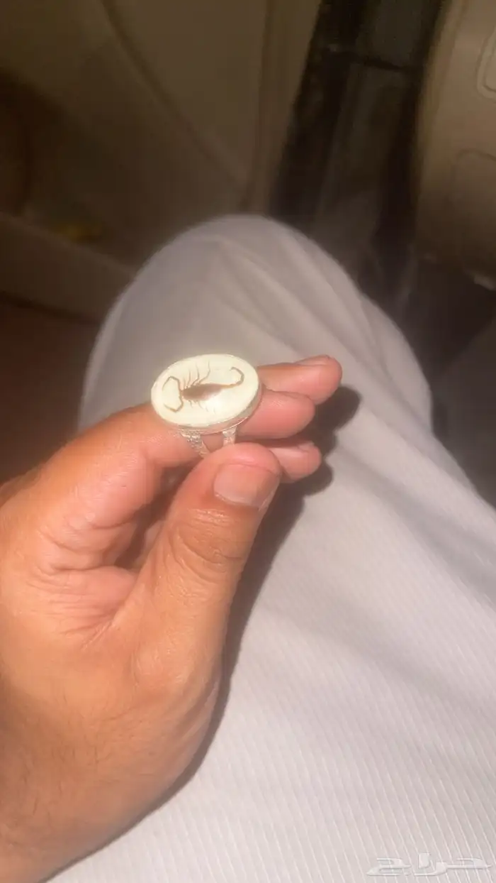 خاتم عقرب   فضه 0