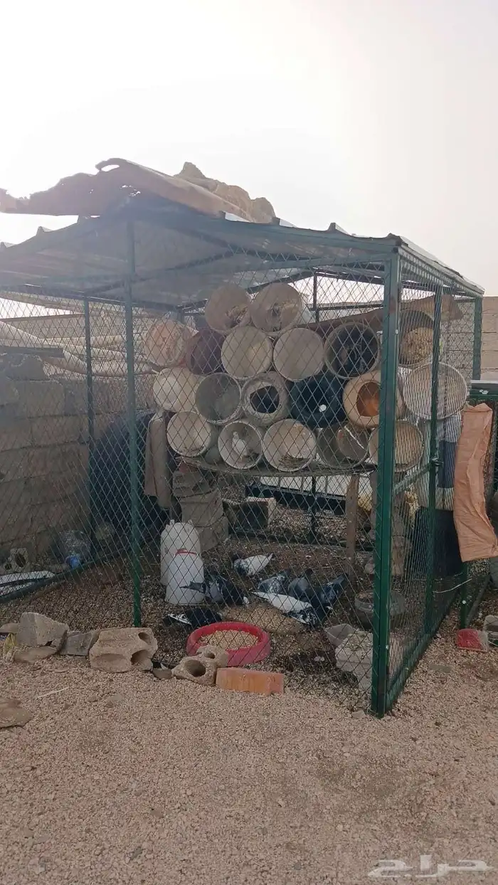 شبك موقع وادي بن هشبل 0