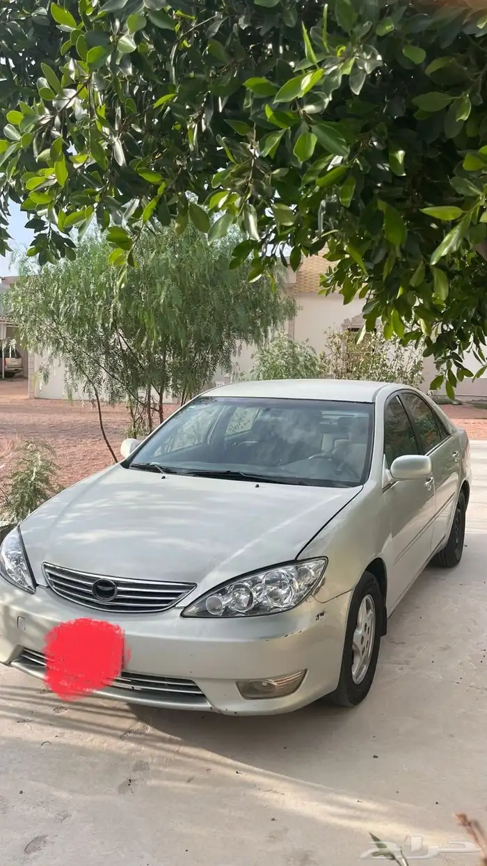الطائف 2