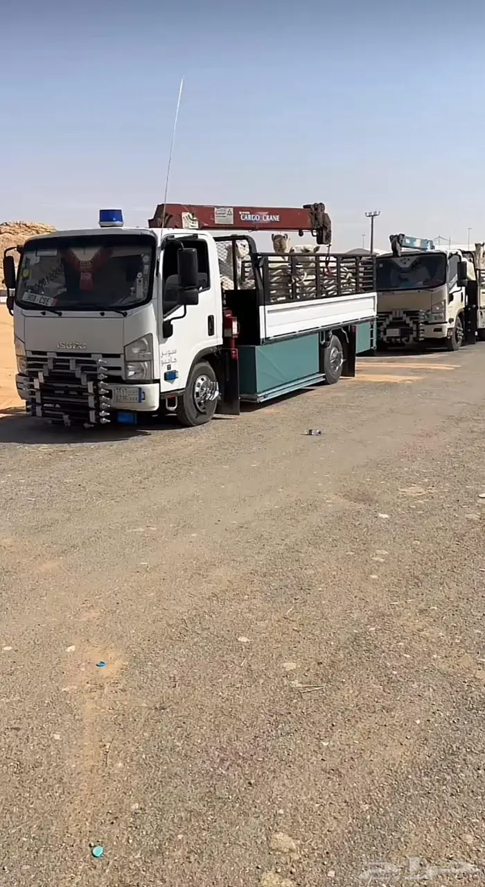 ديناء نقل ابل داخل حايل 0
