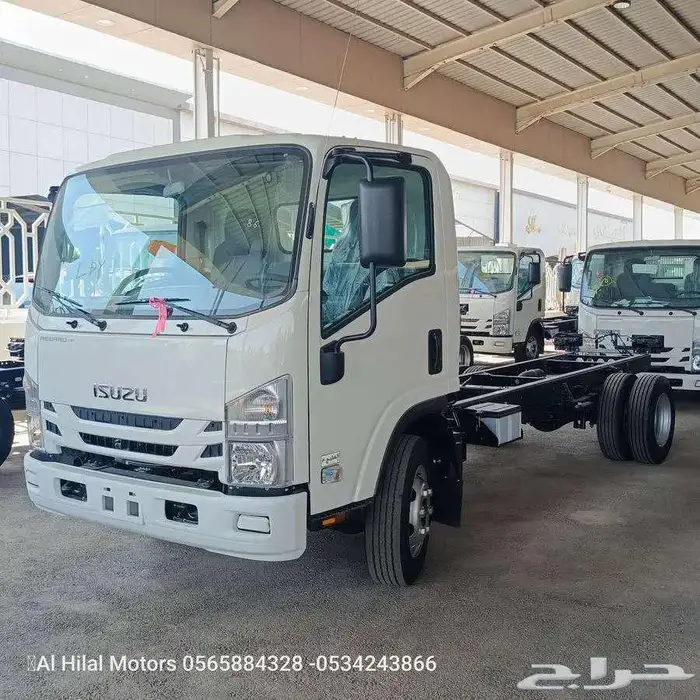 دينا 2025 جميع الاحجام عرض خاص أقل سعر في السوق 0