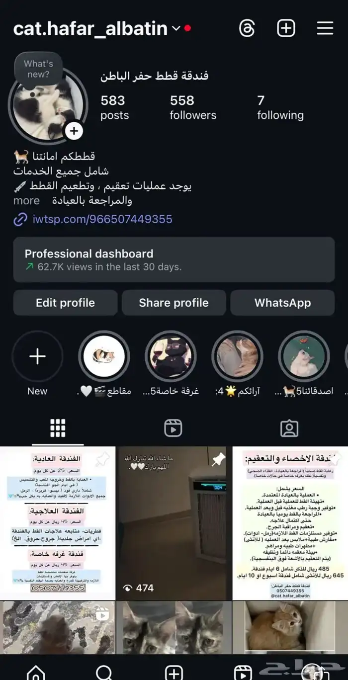 فندقة قطط حفر الباطن 1