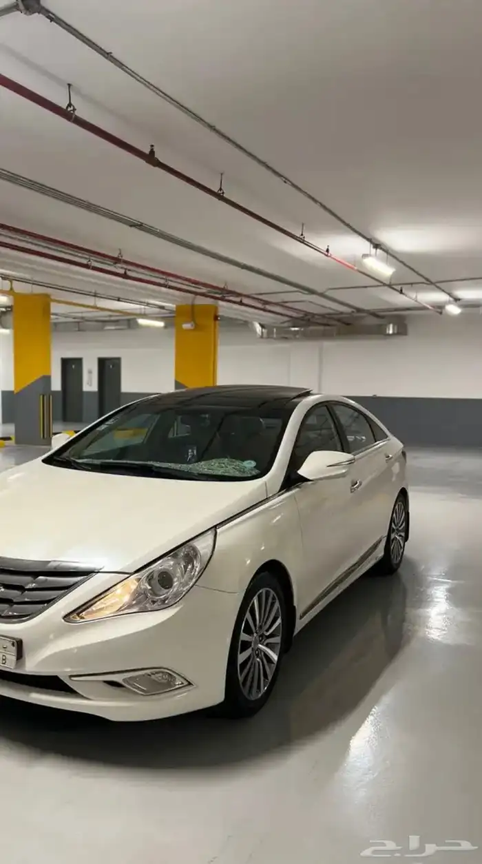 نقل طالبات وموظفات 0