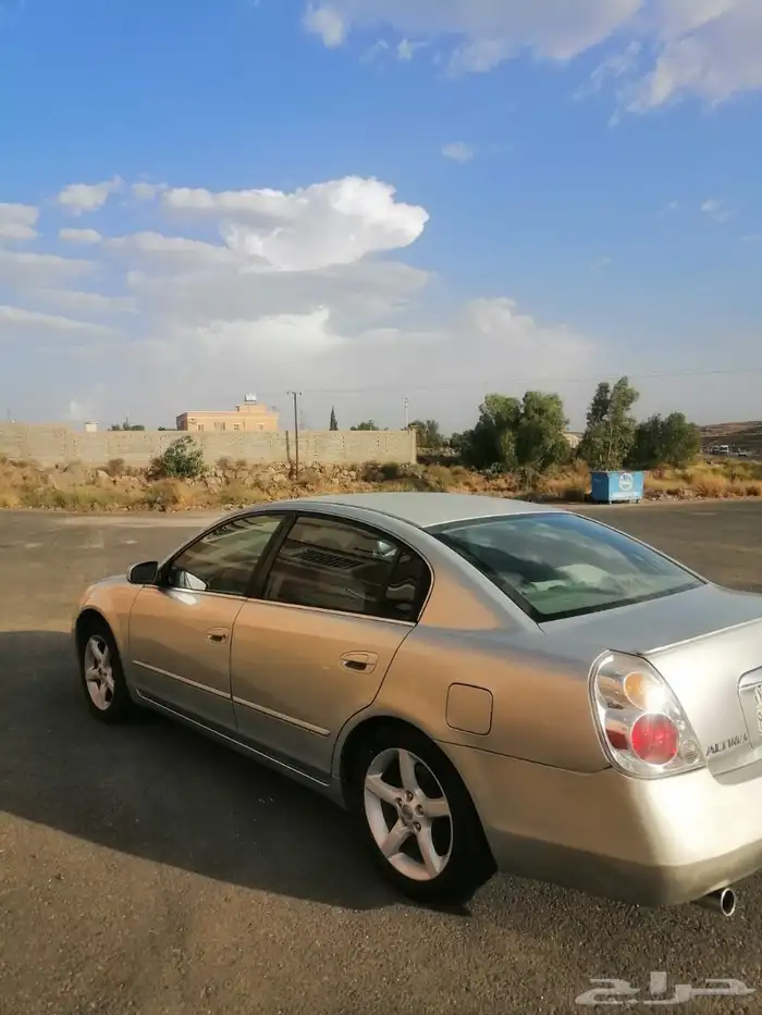 التيما 2006 3