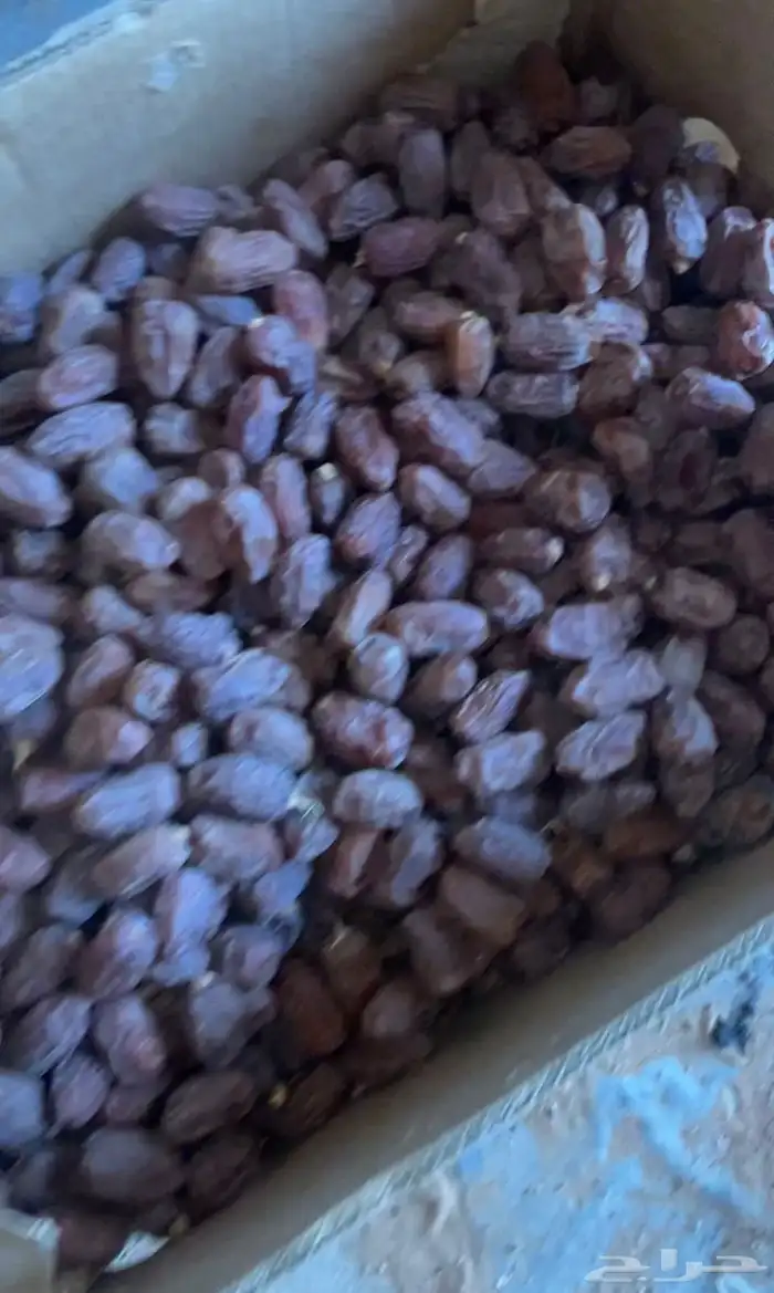 علف نفيع تمر للبيع 1