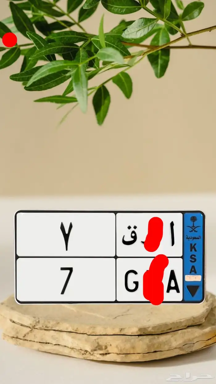 لوحات مميزه 1