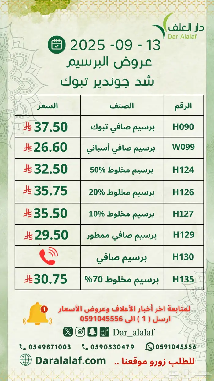 برسيم اسباني مستورد 3 4