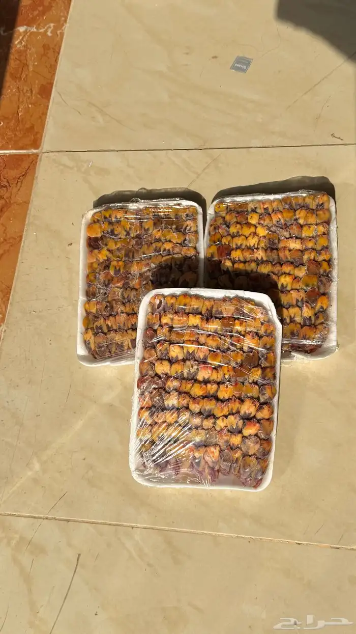 شحم مصر فريش 2