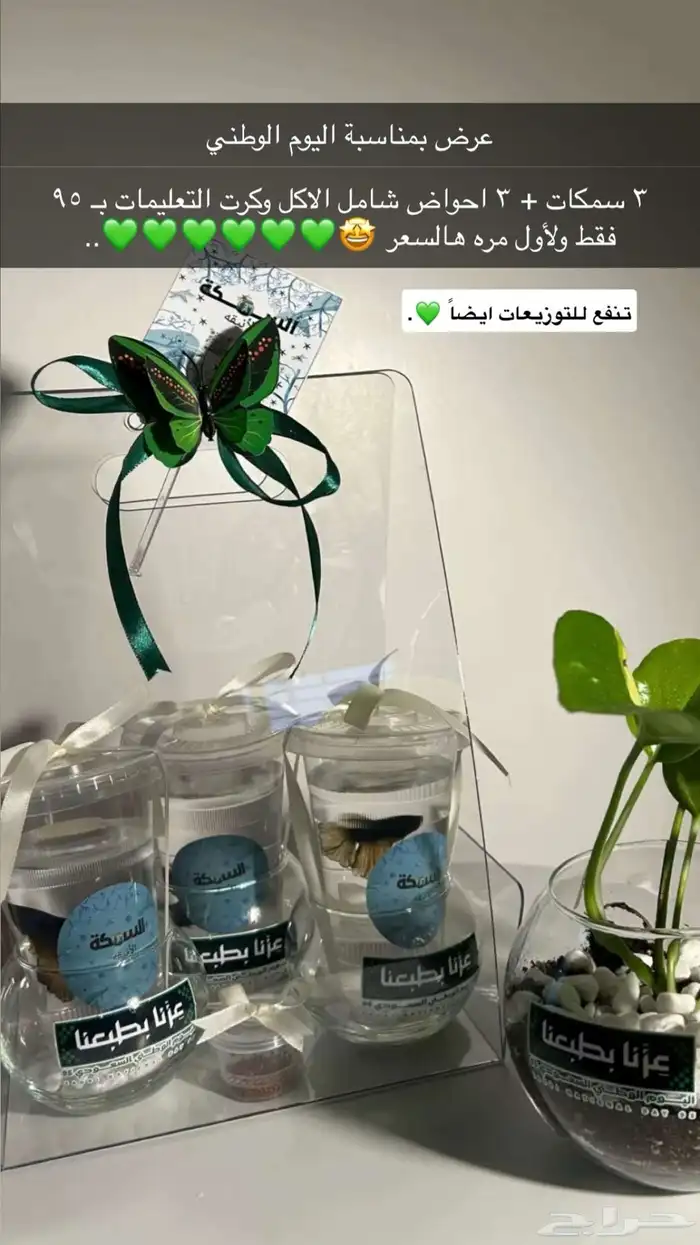 سمك فايتر ب95 ريال عرض 1
