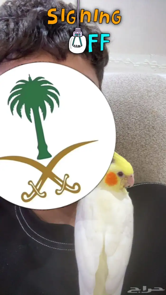 كروان ذكر هدد خارجي وداخلي 28
