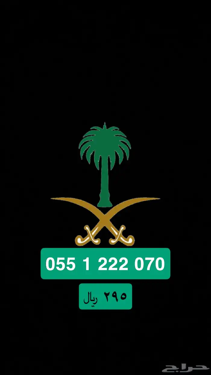 اليوم الوطني السعودي 95 0