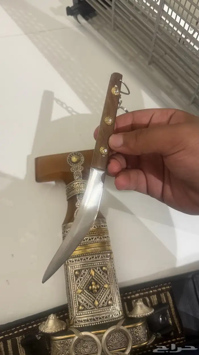 جنبيه جديده حده كفو حك زراف مطرح 6 3