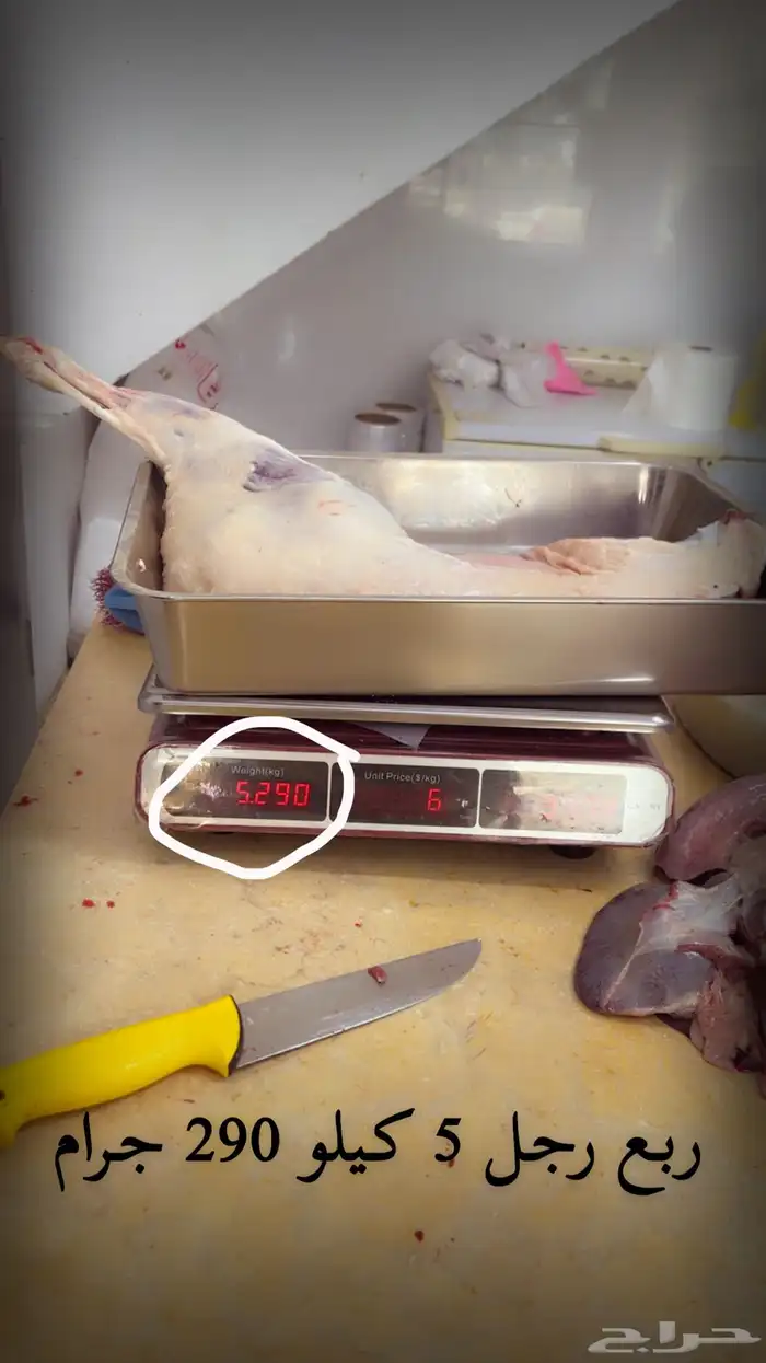 ذبايح ربع ونص وكامل 1