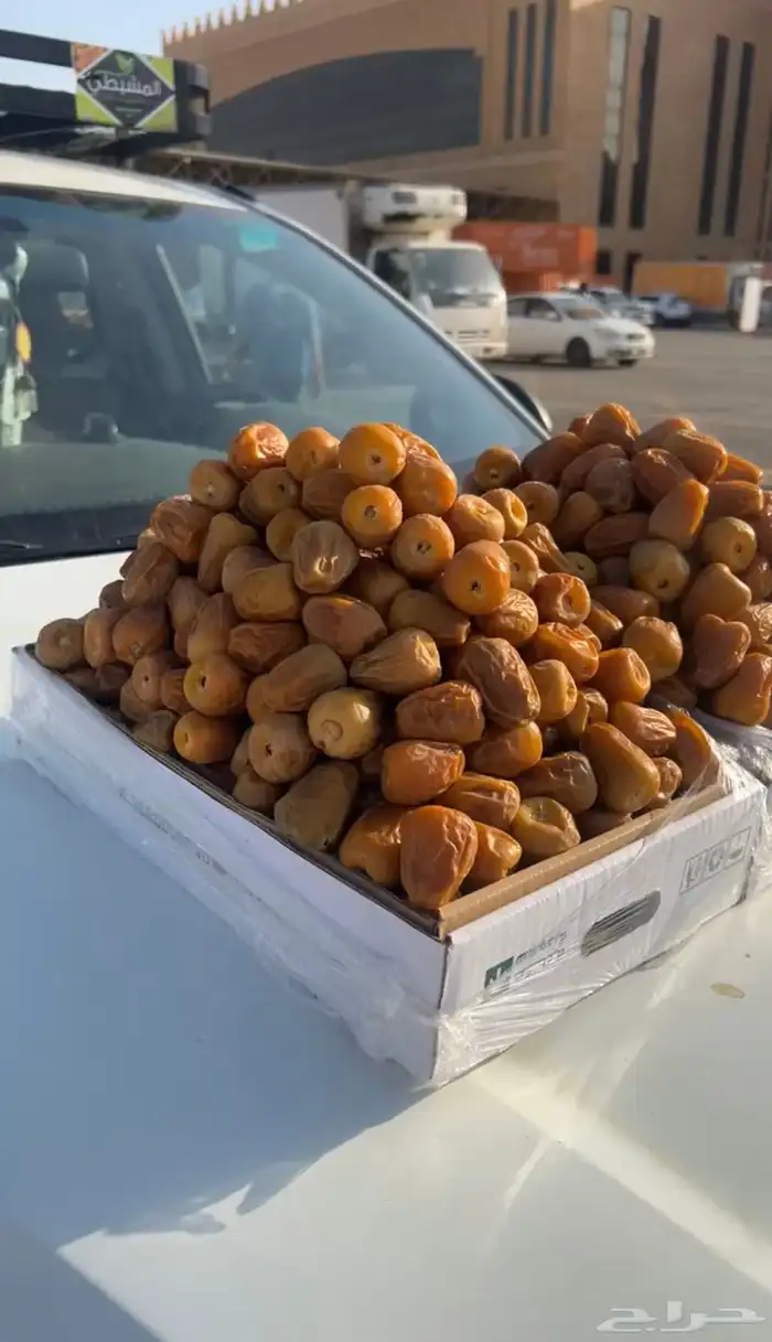 تمر القصيم 3