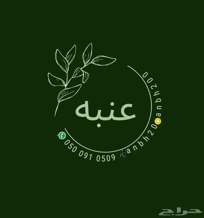 ورق عنب عنبه 8