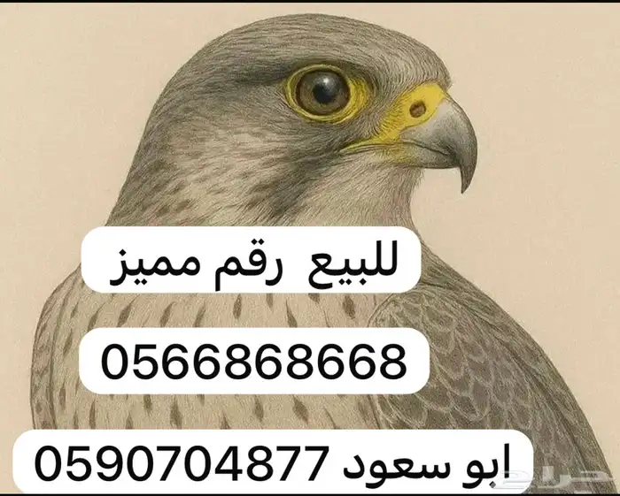 رقم مميز 2